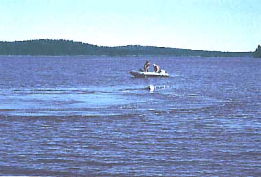 Photo of Lake Paajarvi