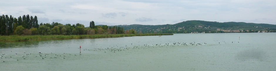 Photo of Lake Trasimeno