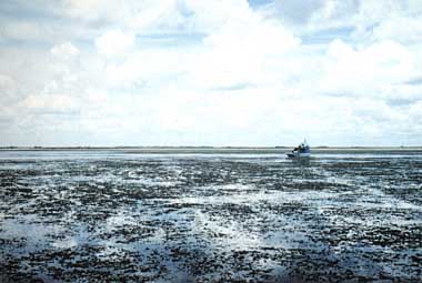 Photo of Lake Okeechobee