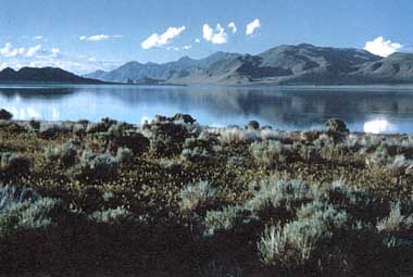 Photo of Pyramid Lake