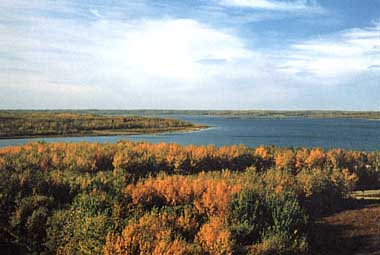 Photo of Miquelon Lake