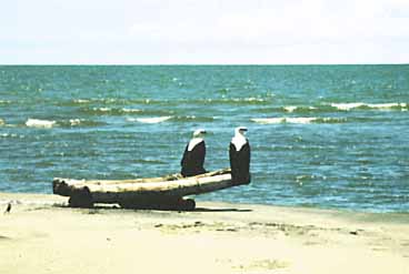 Photo of Lake Turkana