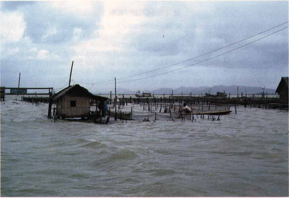 Photo of Lake Songkhla