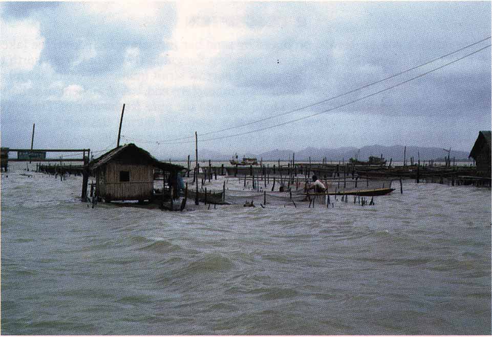 Photo of Lake Songkhla