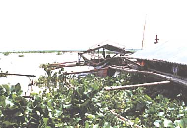 Photo of Laguna de Bay