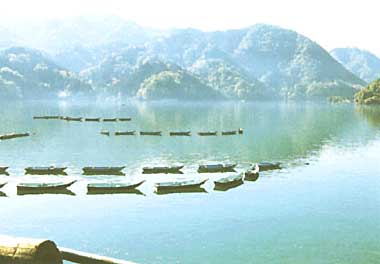 Photo of Sagami Reservoir