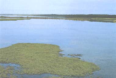 Photo of Lake Saroma