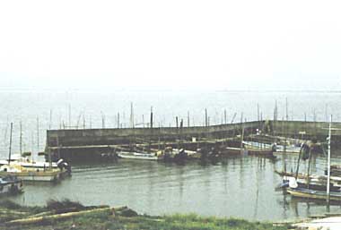 Photo of Lake Kojima