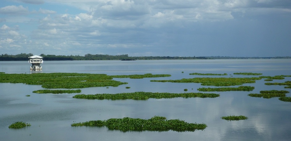 Photo of Lake Chivero