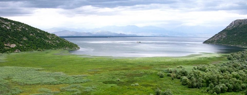 Photo of Lake Skadar