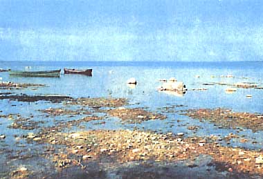 Photo of Lake Sniardwy
